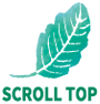 topへ戻る
